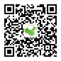庆元县鼠茅草种植现场观摩，鼠茅草，果园除草，以草防草新技术